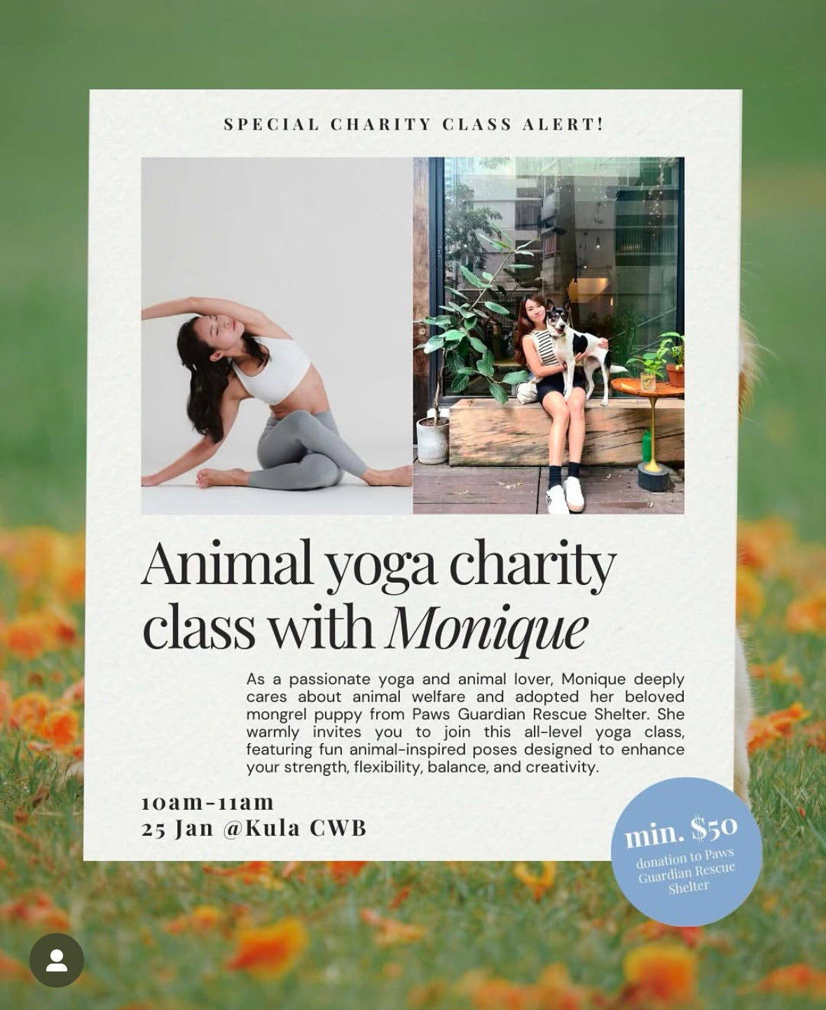 Animal Yoga (Charity)